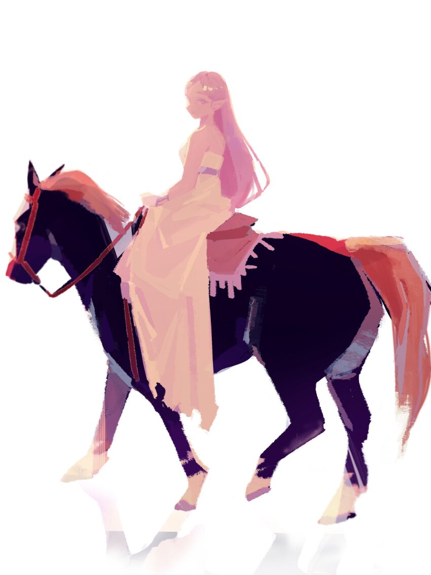 Princess Zelda (Nintendo) Rule 34 Image