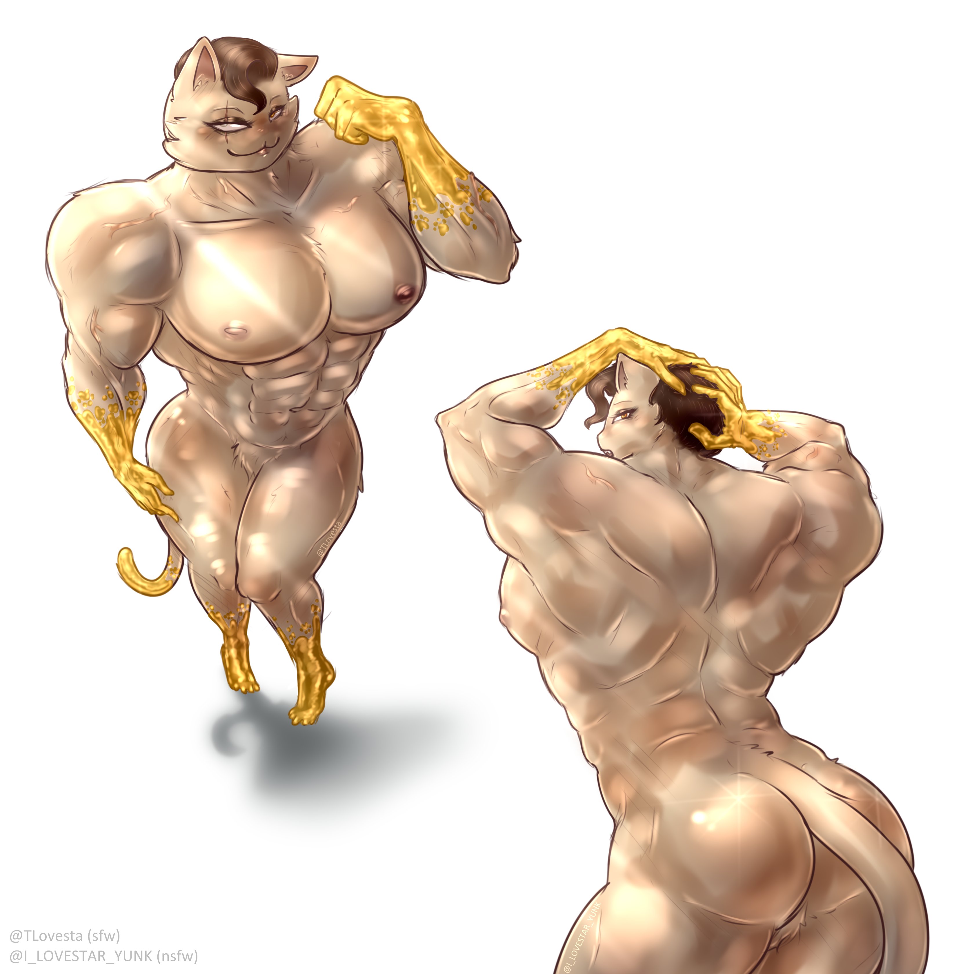 Ass Rule 34 Image