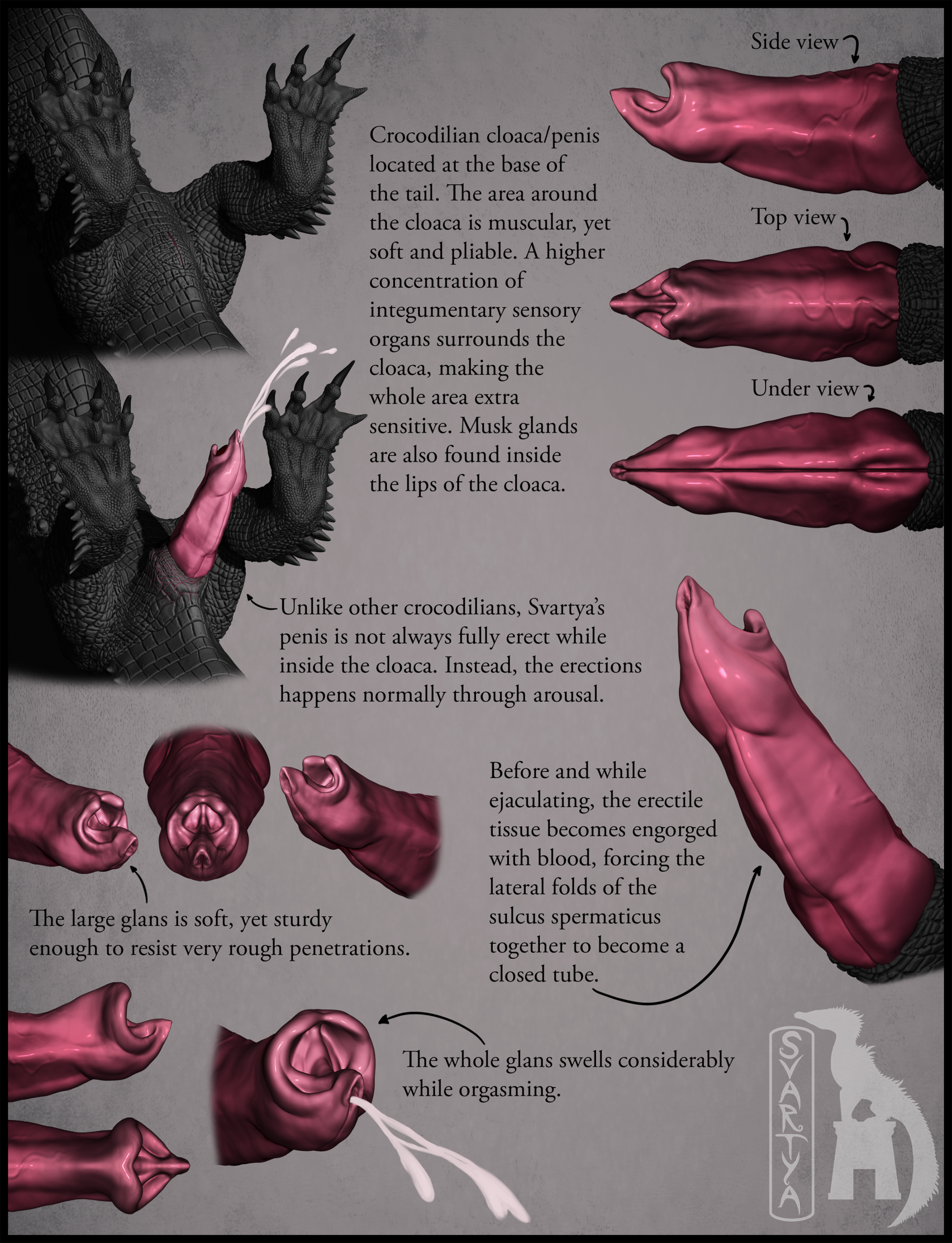 Mythology Rule 34 Image