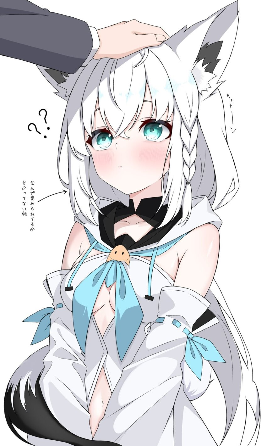 Shirakami Fubuki (Hololive) Rule 34 Image