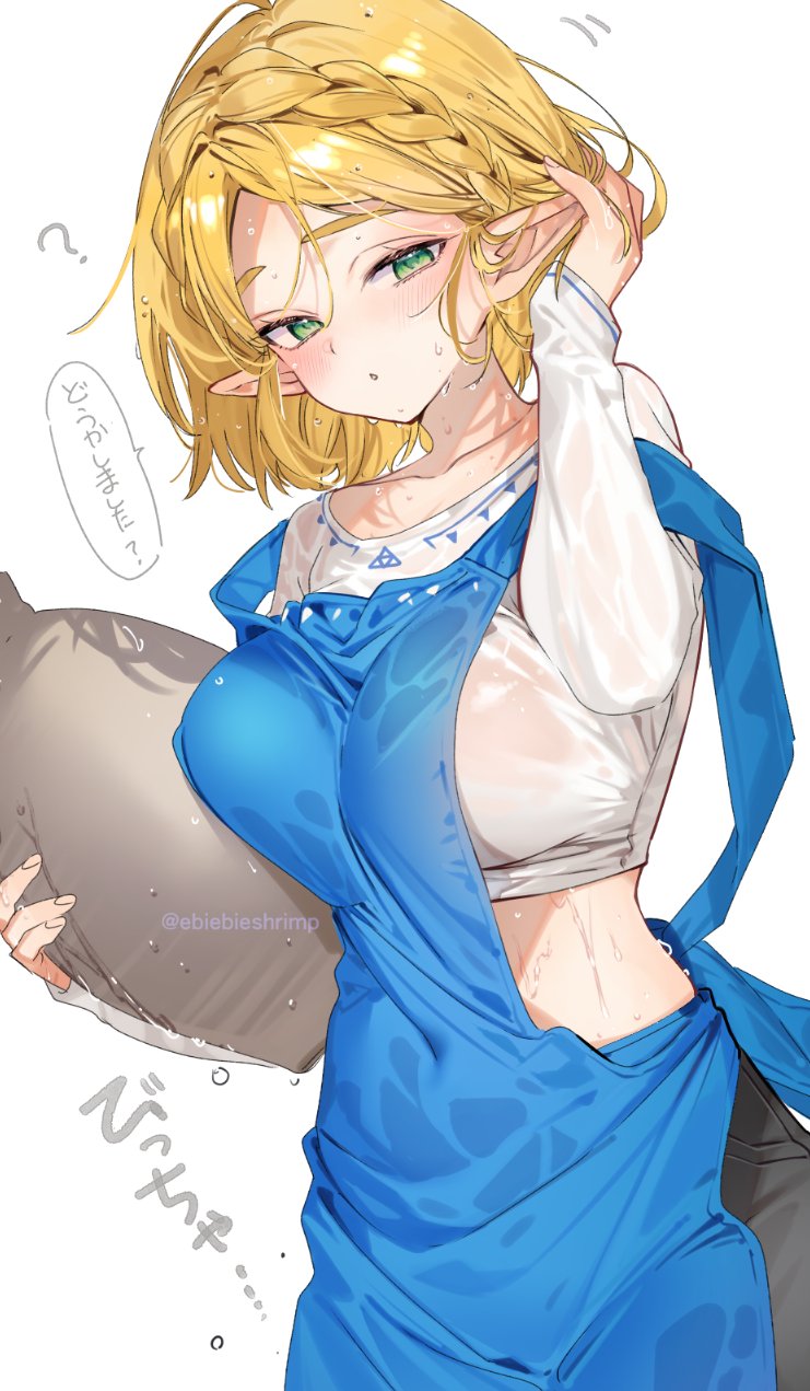 Princess Zelda (Nintendo) Rule 34 Image