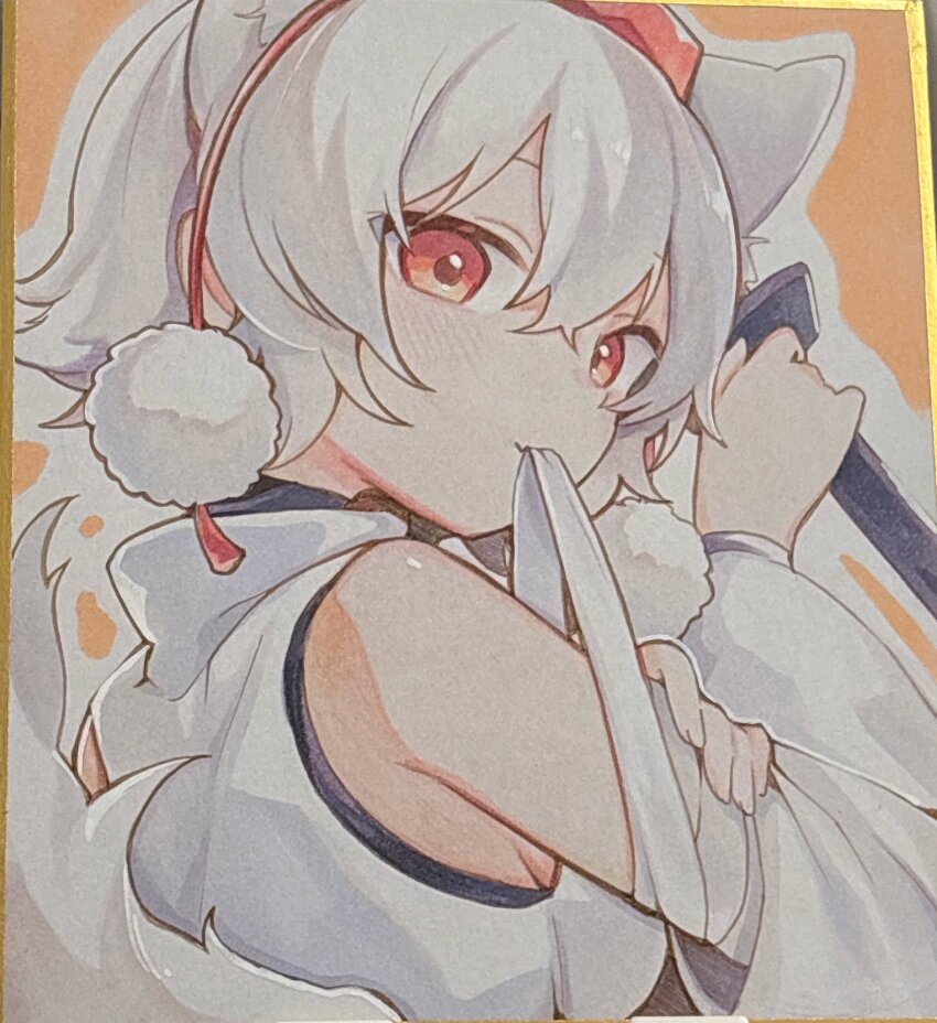 Inubashiri Momiji (Touhou) Rule 34 Image