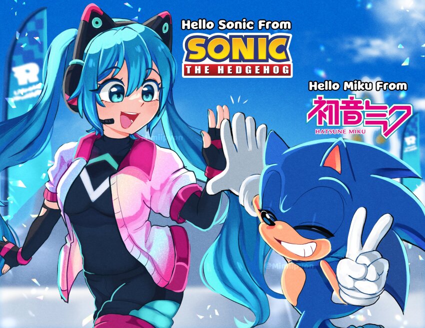 Hatsune Miku (Sonic (Series)) Rule 34 Image