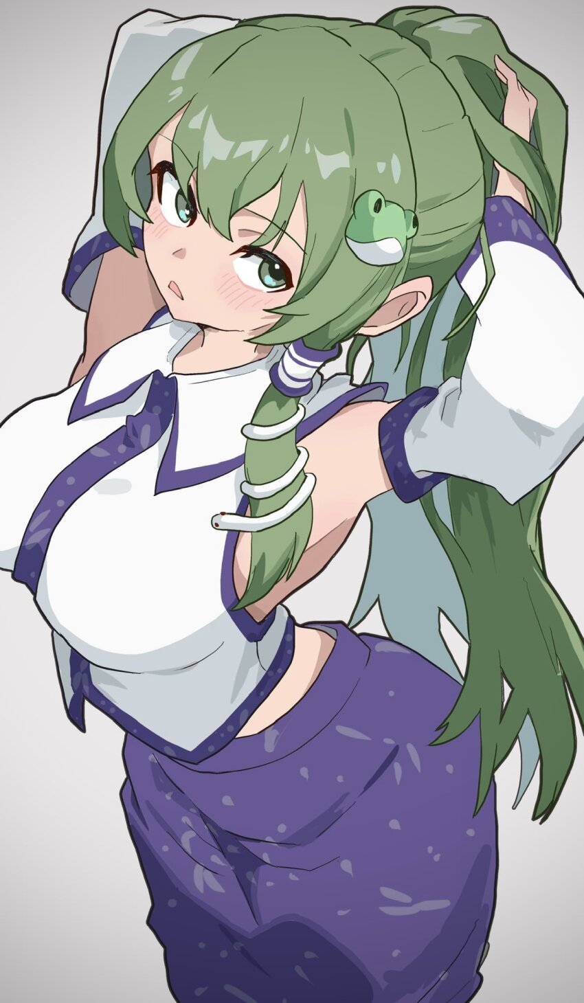 Kochiya Sanae (Touhou) Rule 34 Image