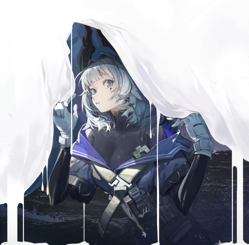 Irene (Arknights) Rule 34 Image