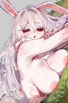 Carrot (One Piece) Rule 34 Image