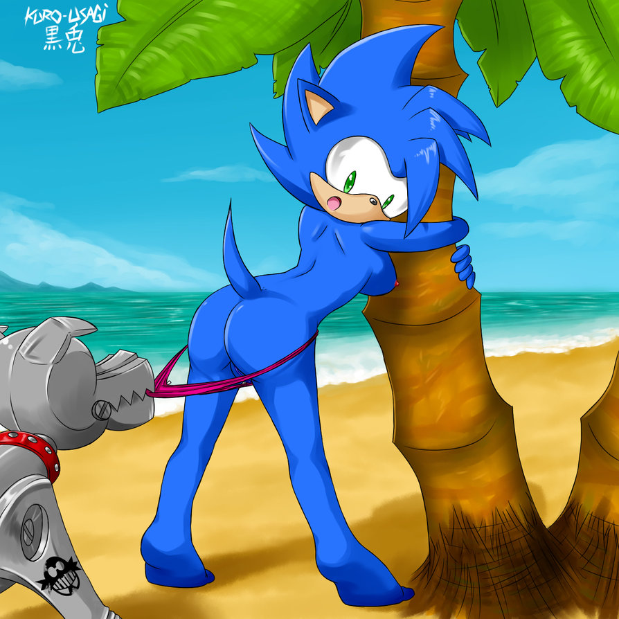 Sonic The Hedgehog (Sonic (Series)) Rule 34 Image