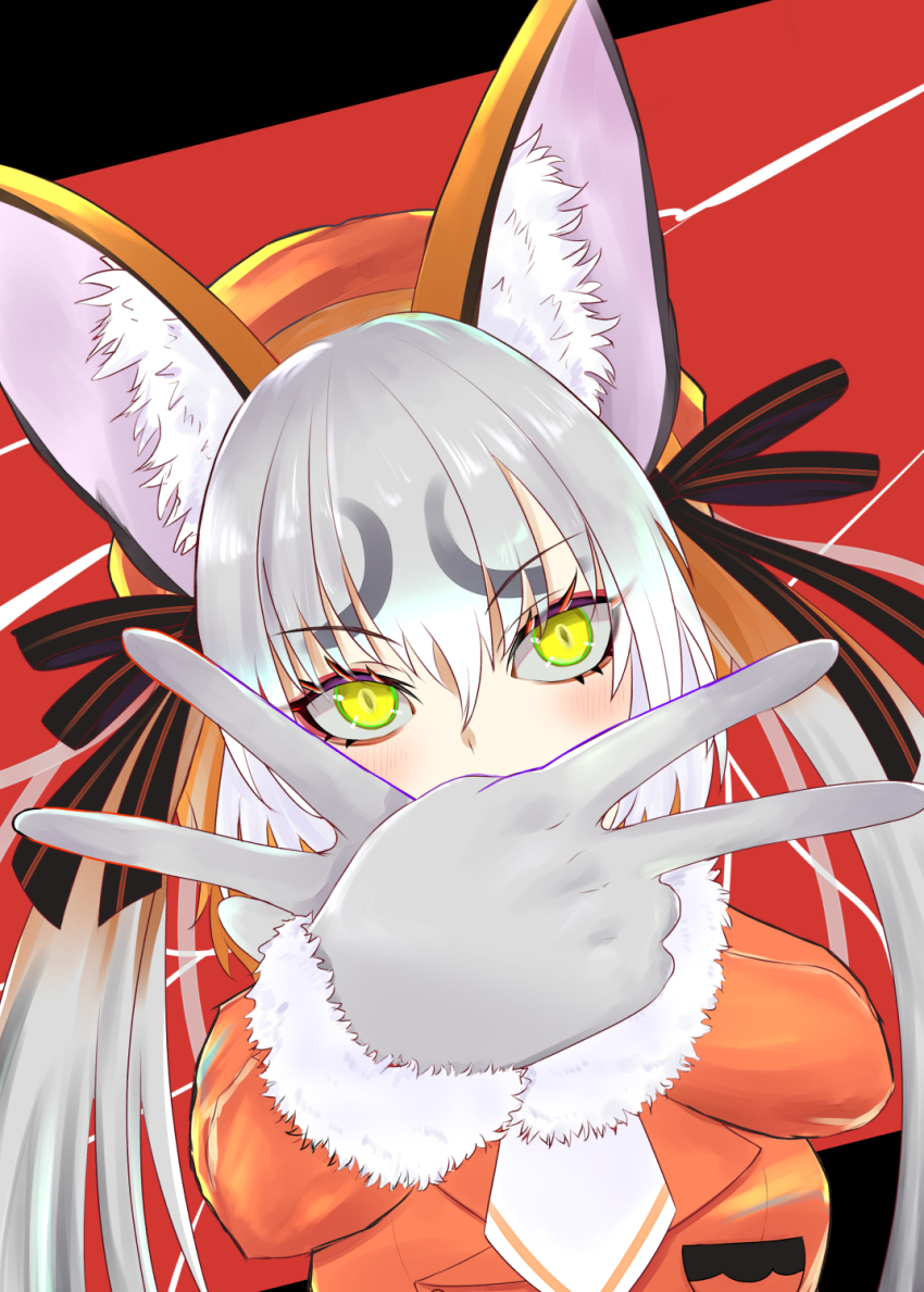 Island Fox (Kemono Friends) Rule 34 Image