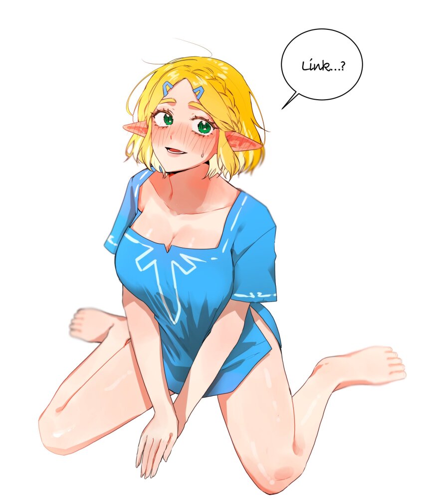 Princess Zelda (Nintendo) Rule 34 Image