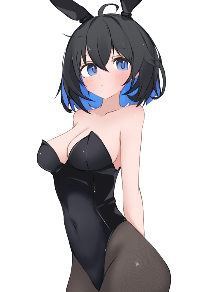 Seele Vollerei (Honkai (Series)) Rule 34 Image