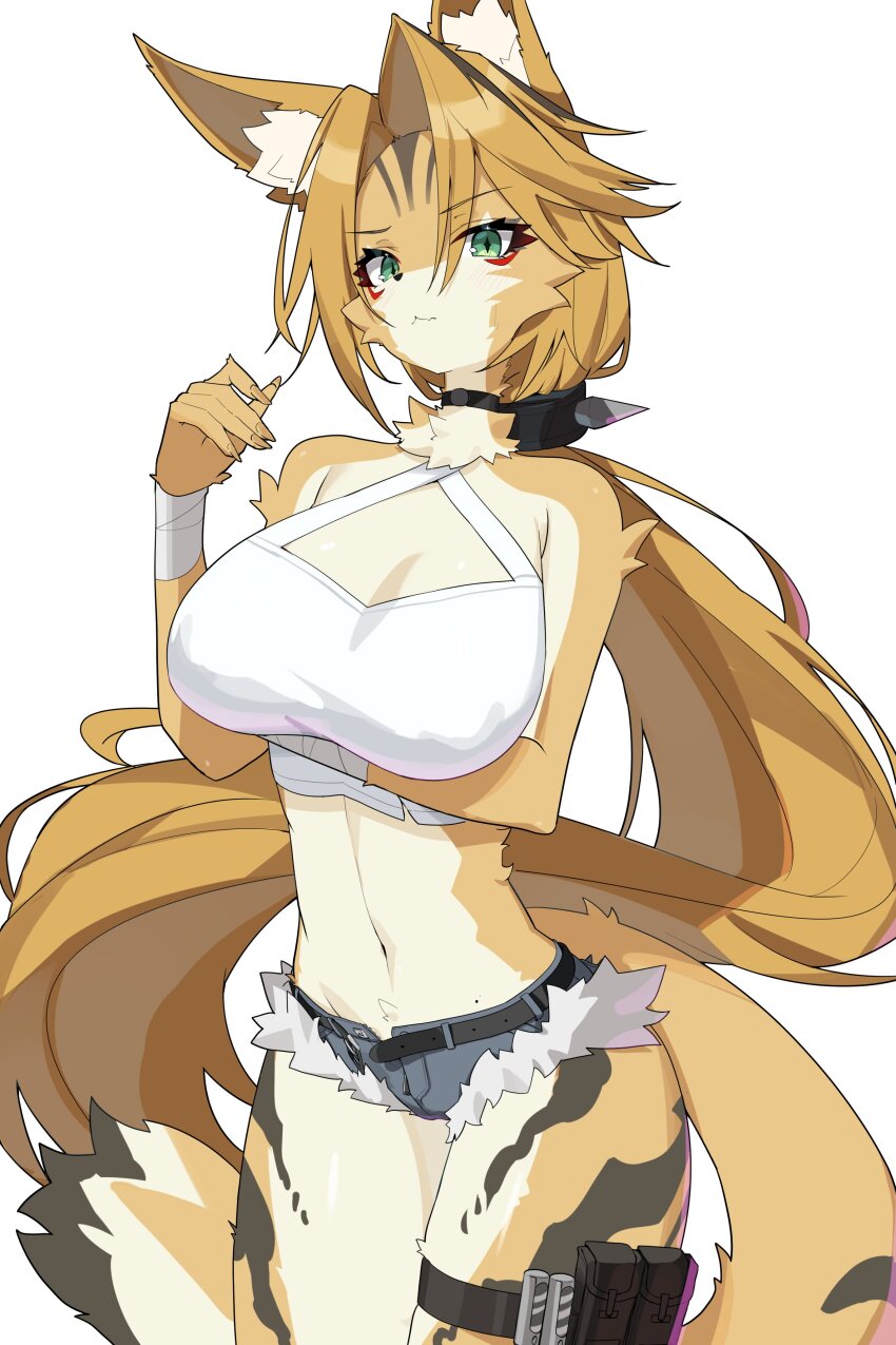 Pulchra Fellini (Zenless Zone Zero) Rule 34 Image