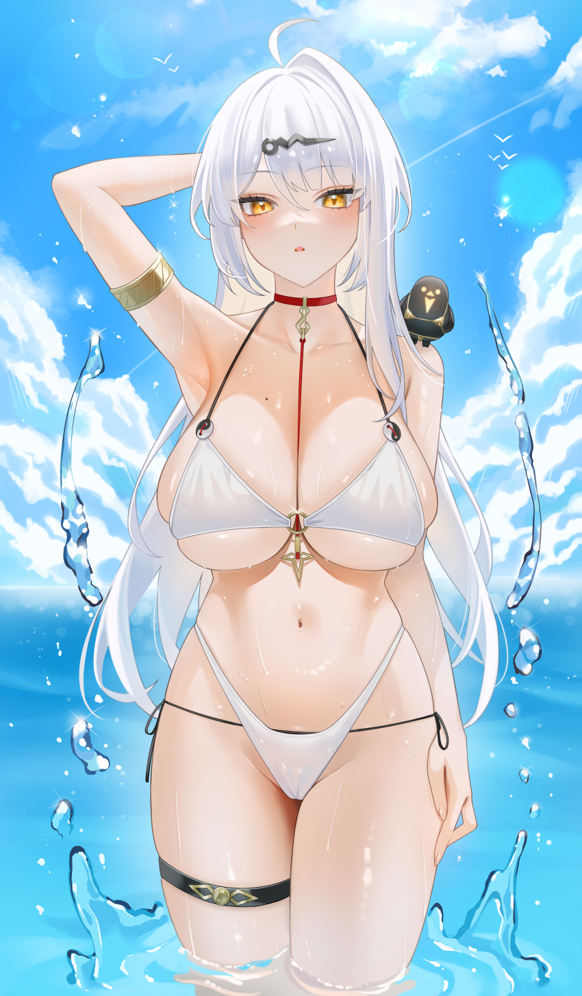 Yixuan (Zenless Zone Zero) Rule 34 Image