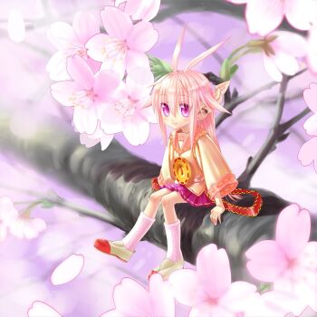 Suzuka Sutera (Axiacid) Rule 34 Image