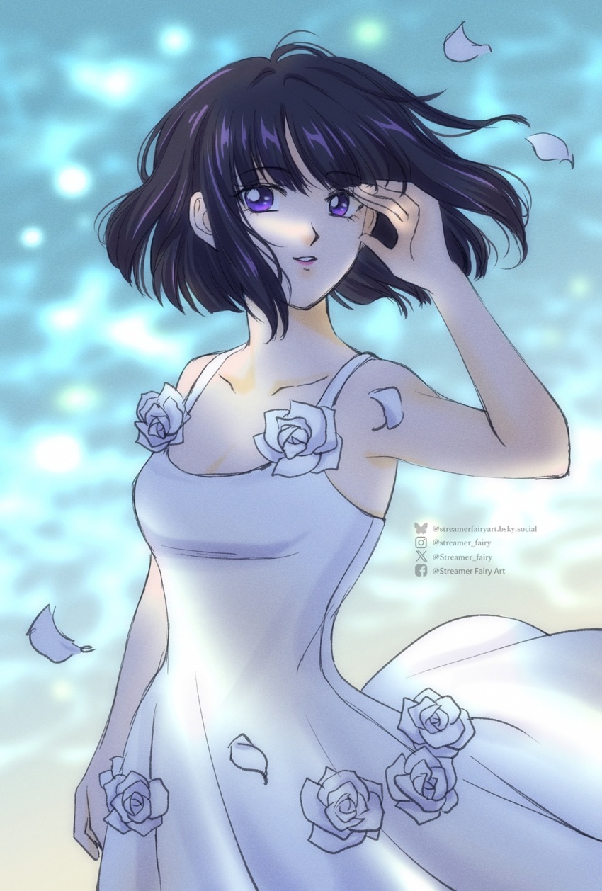 Bishoujo Senshi Sailor Moon Rule 34 Image