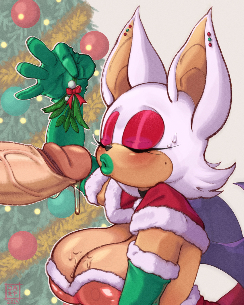 Rouge The Bat (Christmas) Rule 34 Image