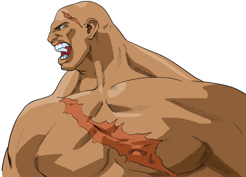 Sagat (Street Fighter) Rule 34 Image