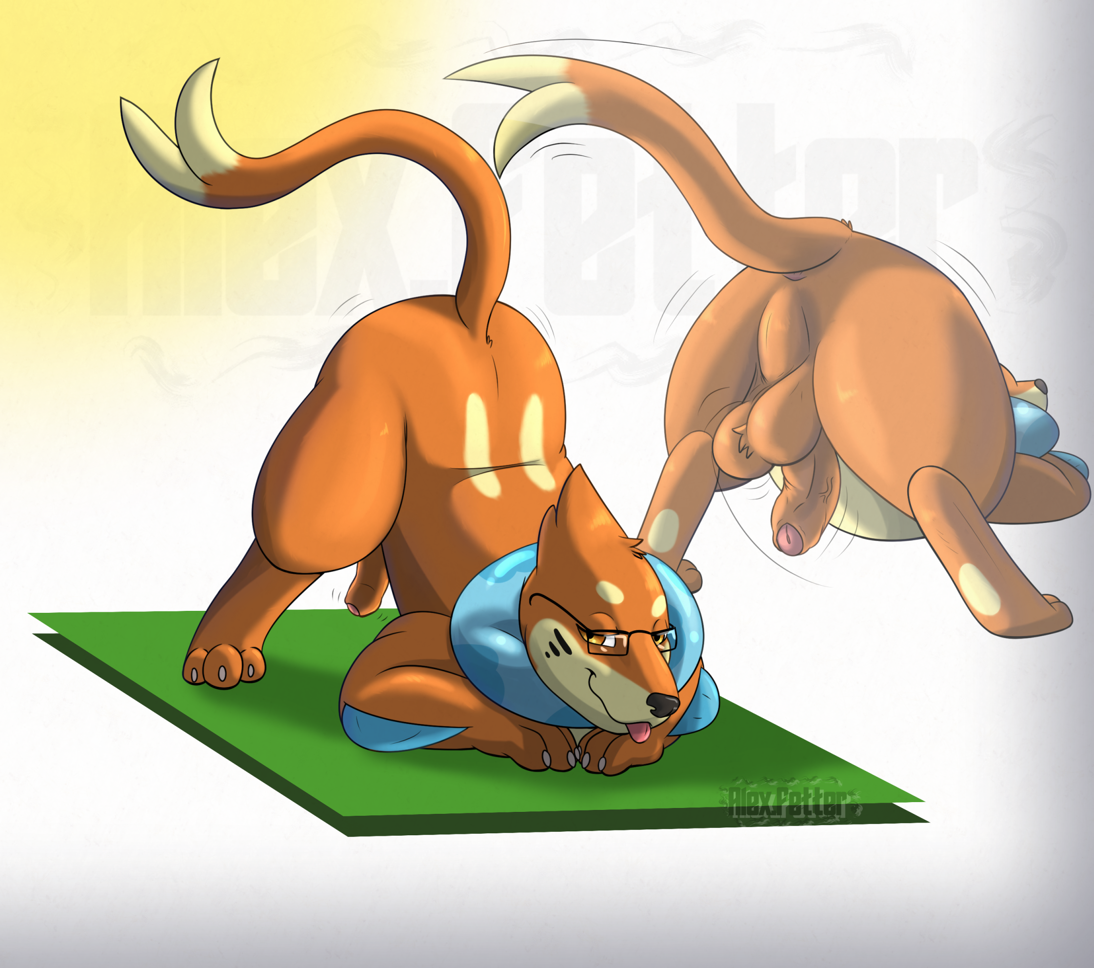 Buizel (Nintendo) Rule 34 Image