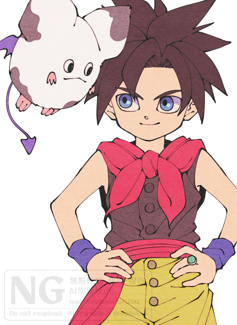 Dragon Quest Rule 34 Image