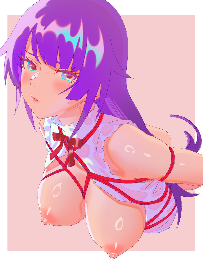 Senjougahara Hitagi (Bakemonogatari) Rule 34 Image