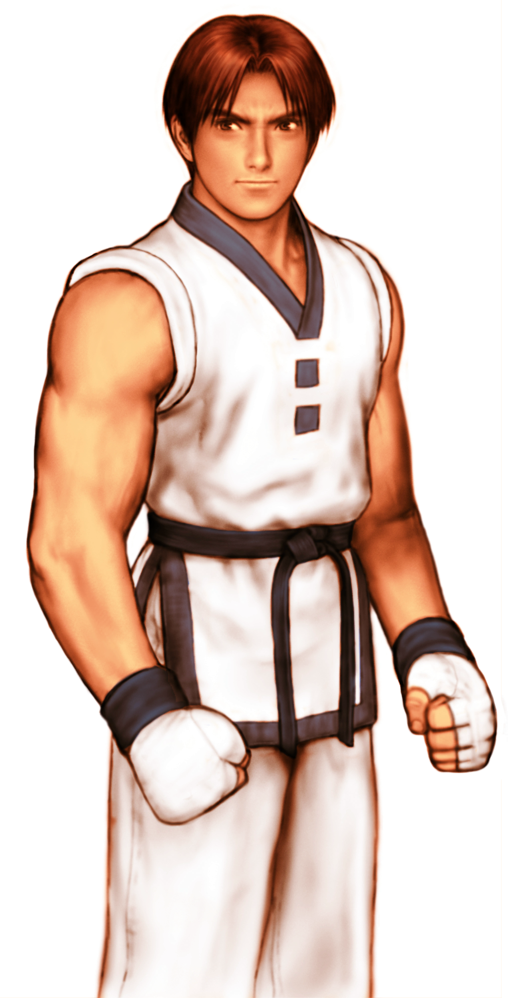 Kim Kaphwan (Capcom Vs. Snk) Rule 34 Image