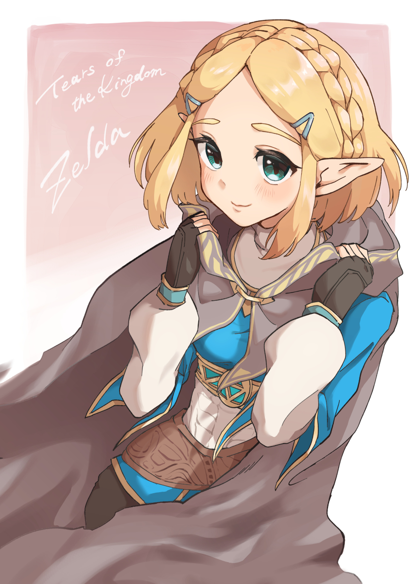 Princess Zelda (Nintendo) Rule 34 Image