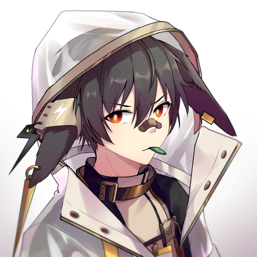 Arknights Rule 34 Image