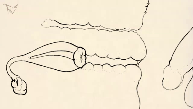 Animated Rule 34 Image