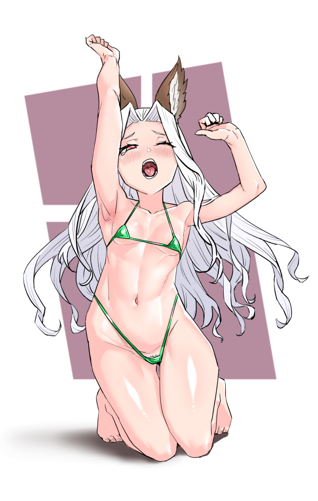 Erune (Granblue Fantasy) Rule 34 Image
