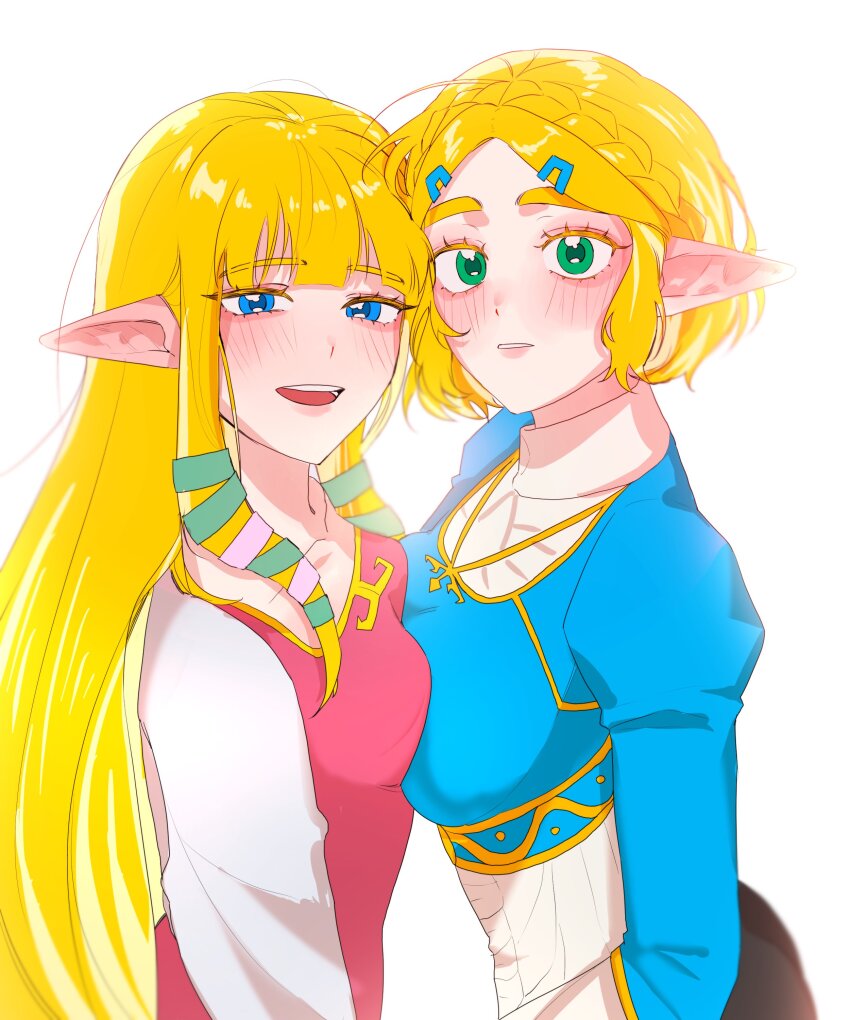 Princess Zelda (Nintendo) Rule 34 Image