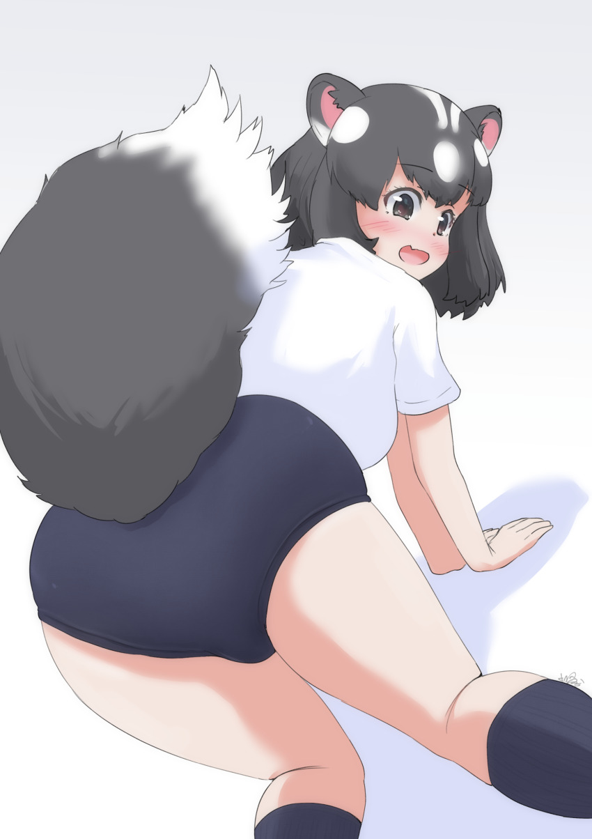 Kemono Friends Rule 34 Image