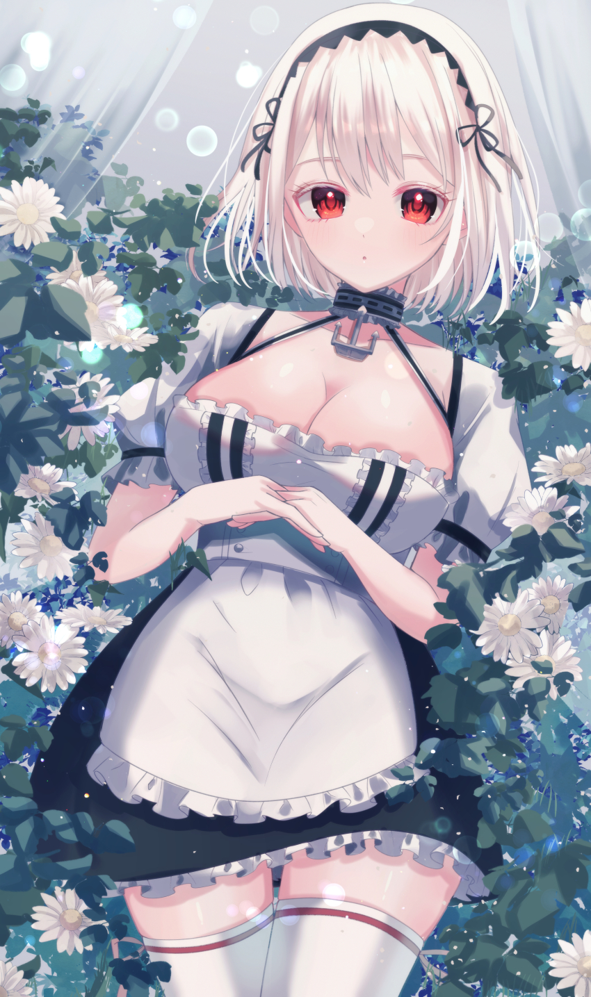 Sirius (Azur Lane) Rule 34 Image