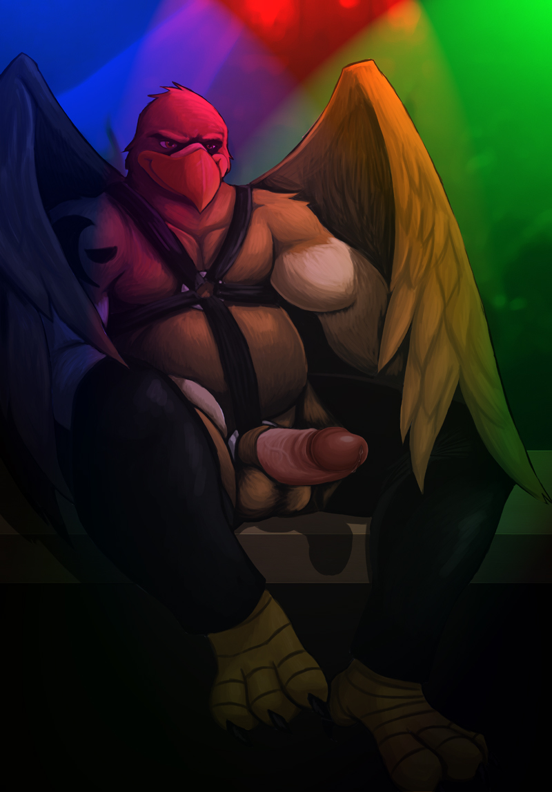 Avian Rule 34 Image