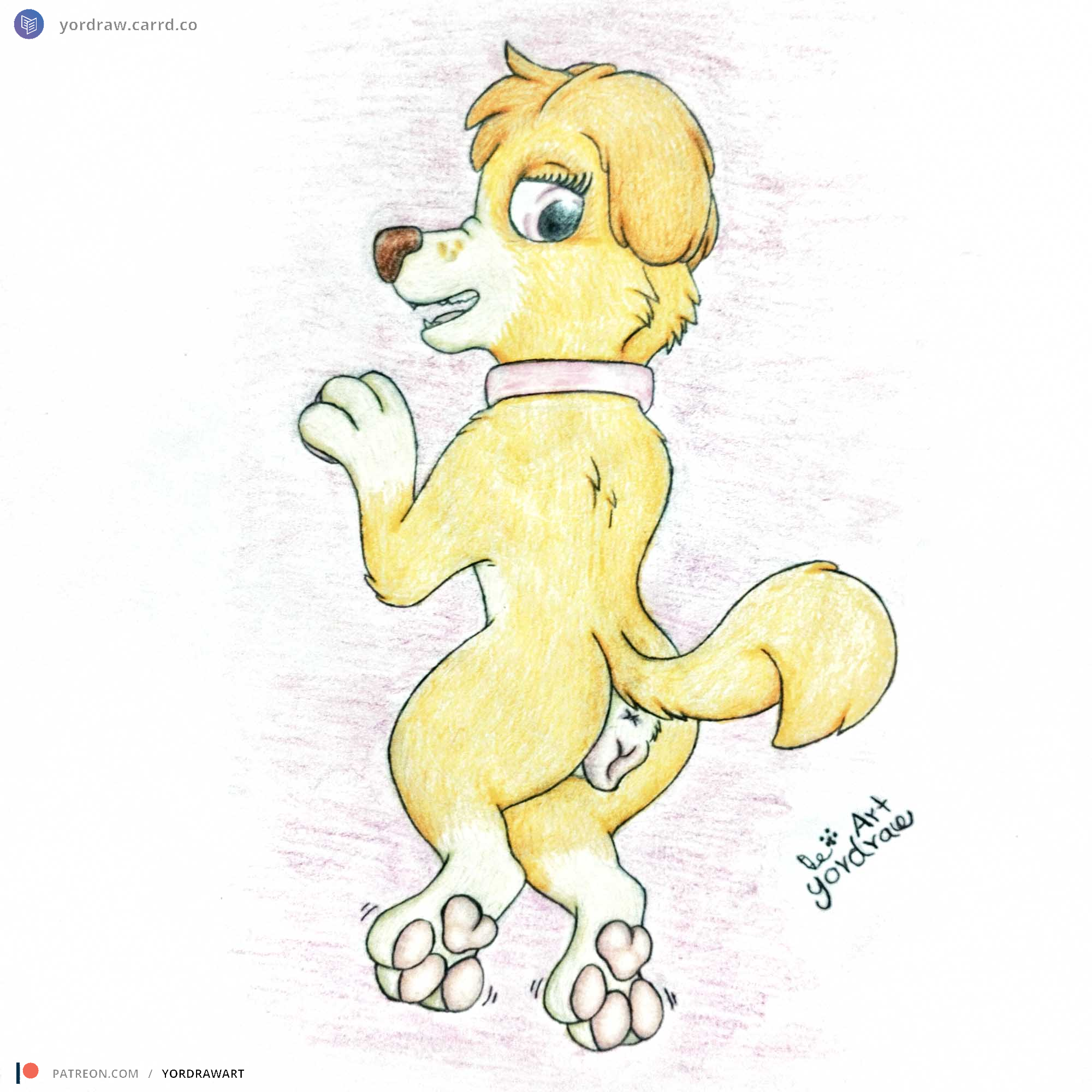 Skye (Paw Patrol) Rule 34 Image