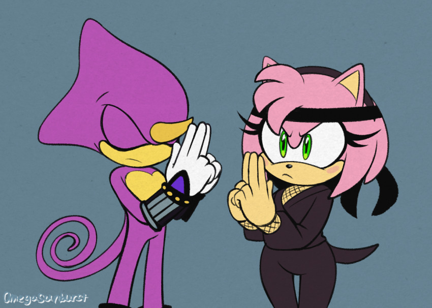 Amy Rose (Sonic (Series)) Rule 34 Image
