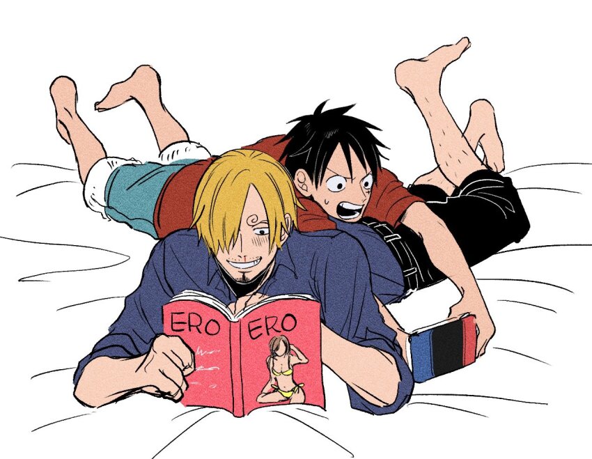 Sanji (One Piece) Rule 34 Image