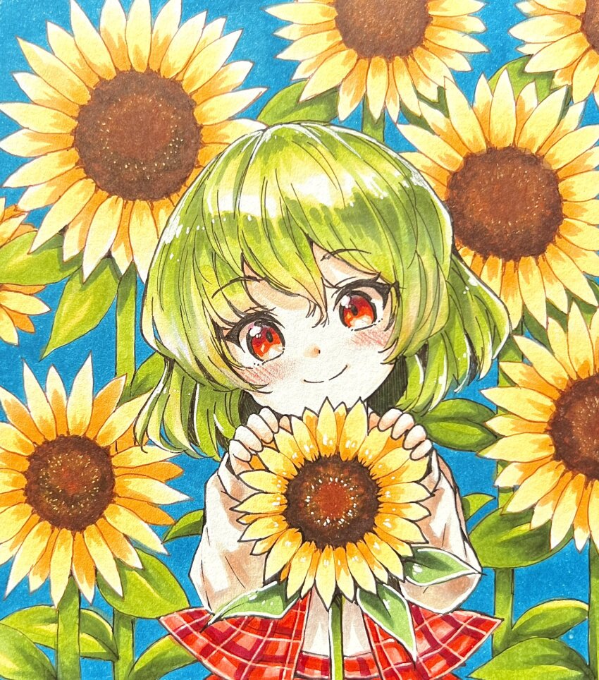 Kazami Yuuka (Touhou) Rule 34 Image