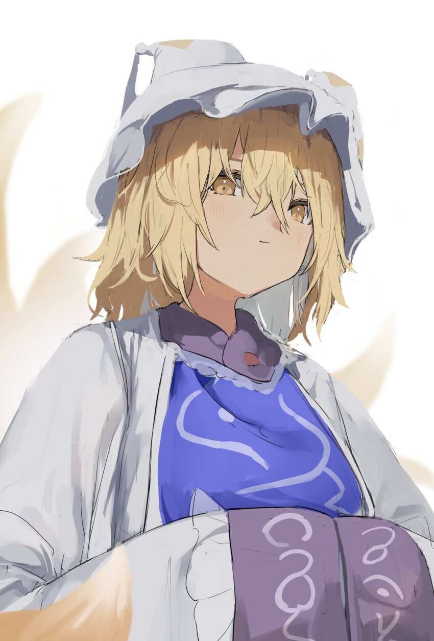 Yakumo Ran (Touhou) Rule 34 Image