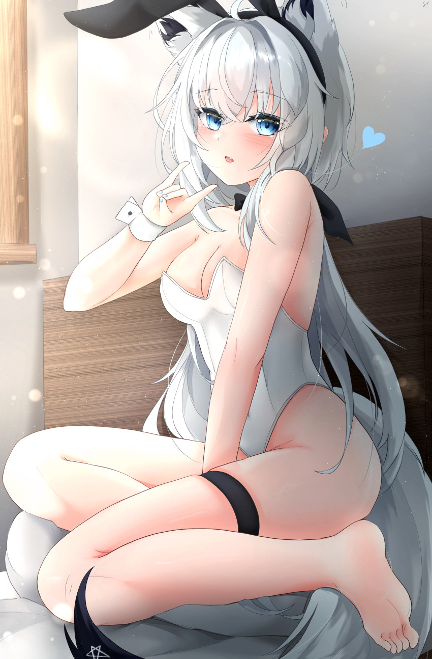 Shirakami Fubuki (Hololive) Rule 34 Image