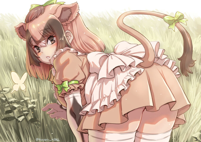 Jersey Cattle (Kemono Friends) Rule 34 Image