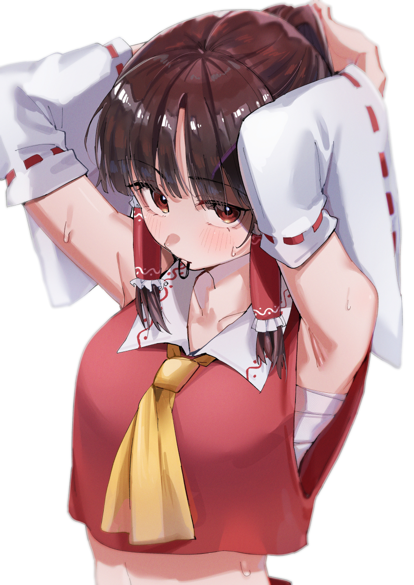 Hakurei Reimu (Touhou) Rule 34 Image