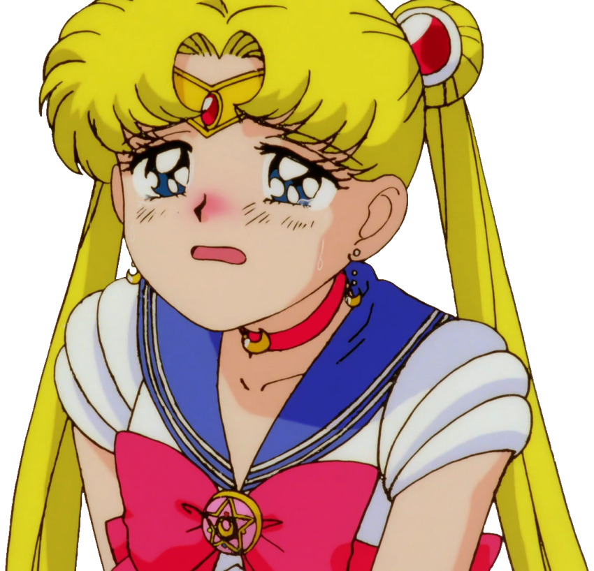 Sailor Moon (Bishoujo Senshi Sailor Moon) Rule 34 Image