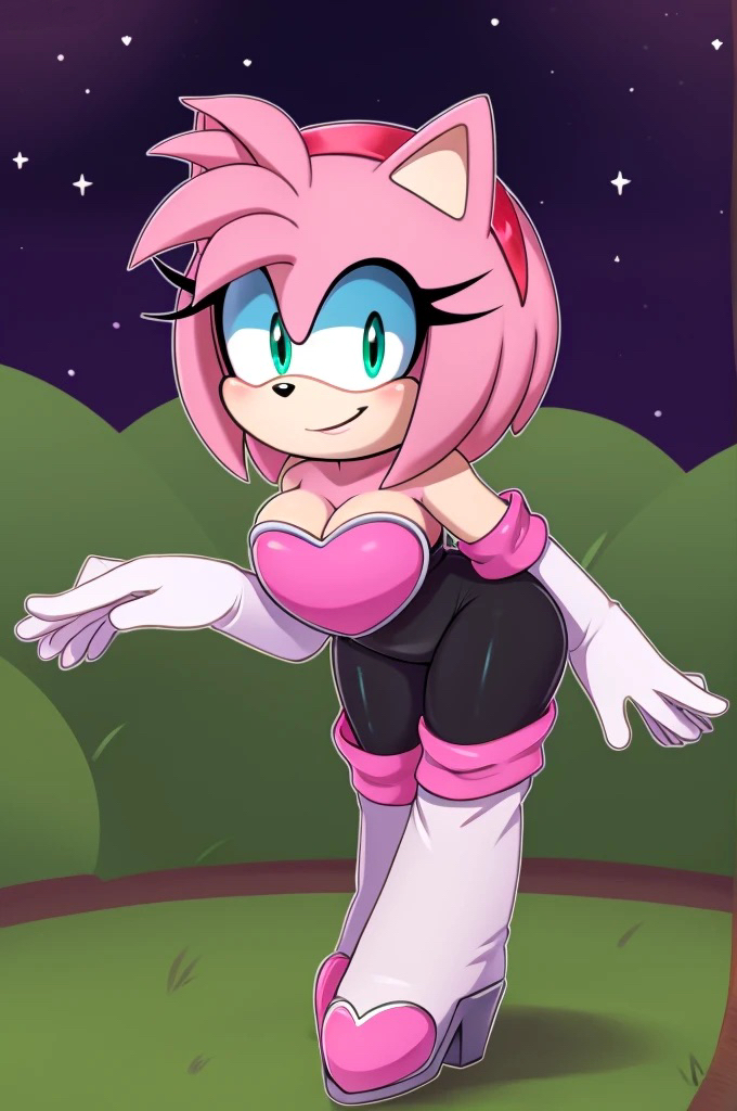 Amy Rose (New Year 2025) Rule 34 Image