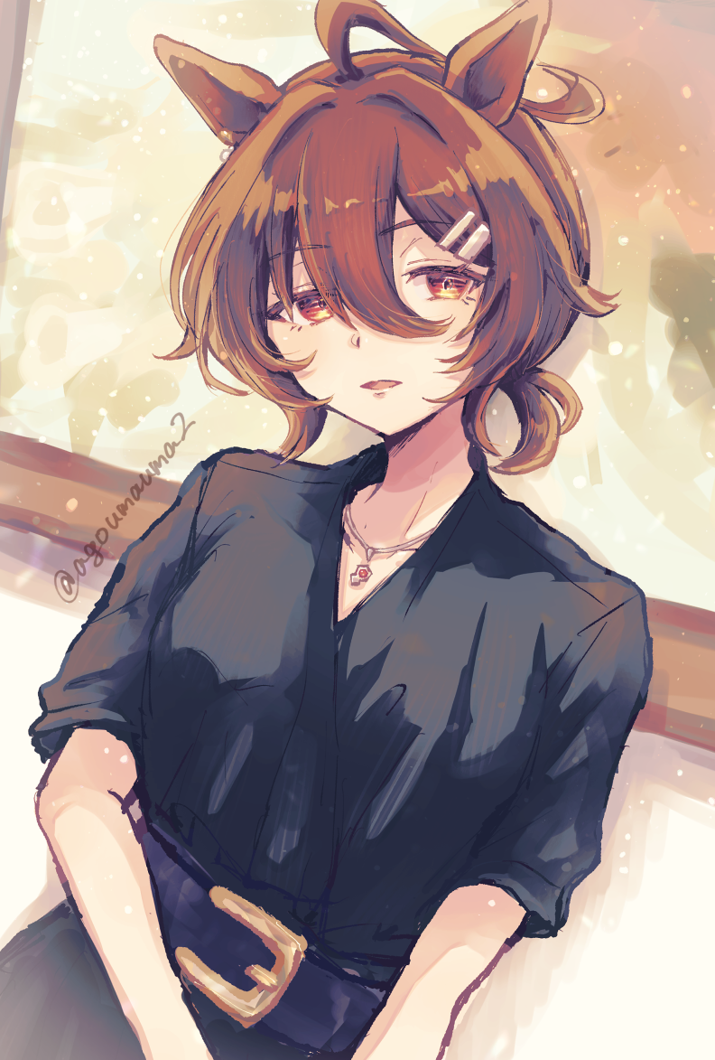 Agnes Tachyon (Umamusume) Rule 34 Image