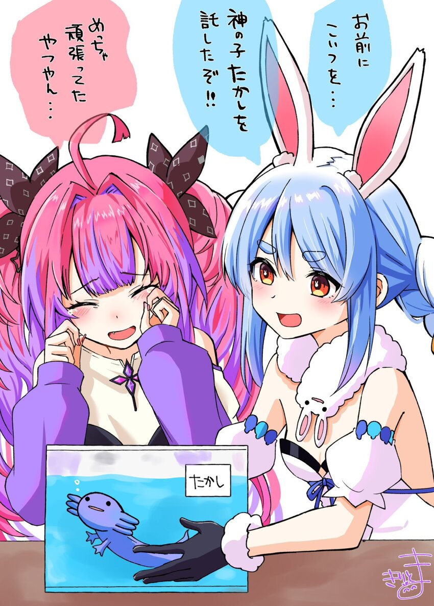 Don-Chan (Usada Pekora) Rule 34 Image