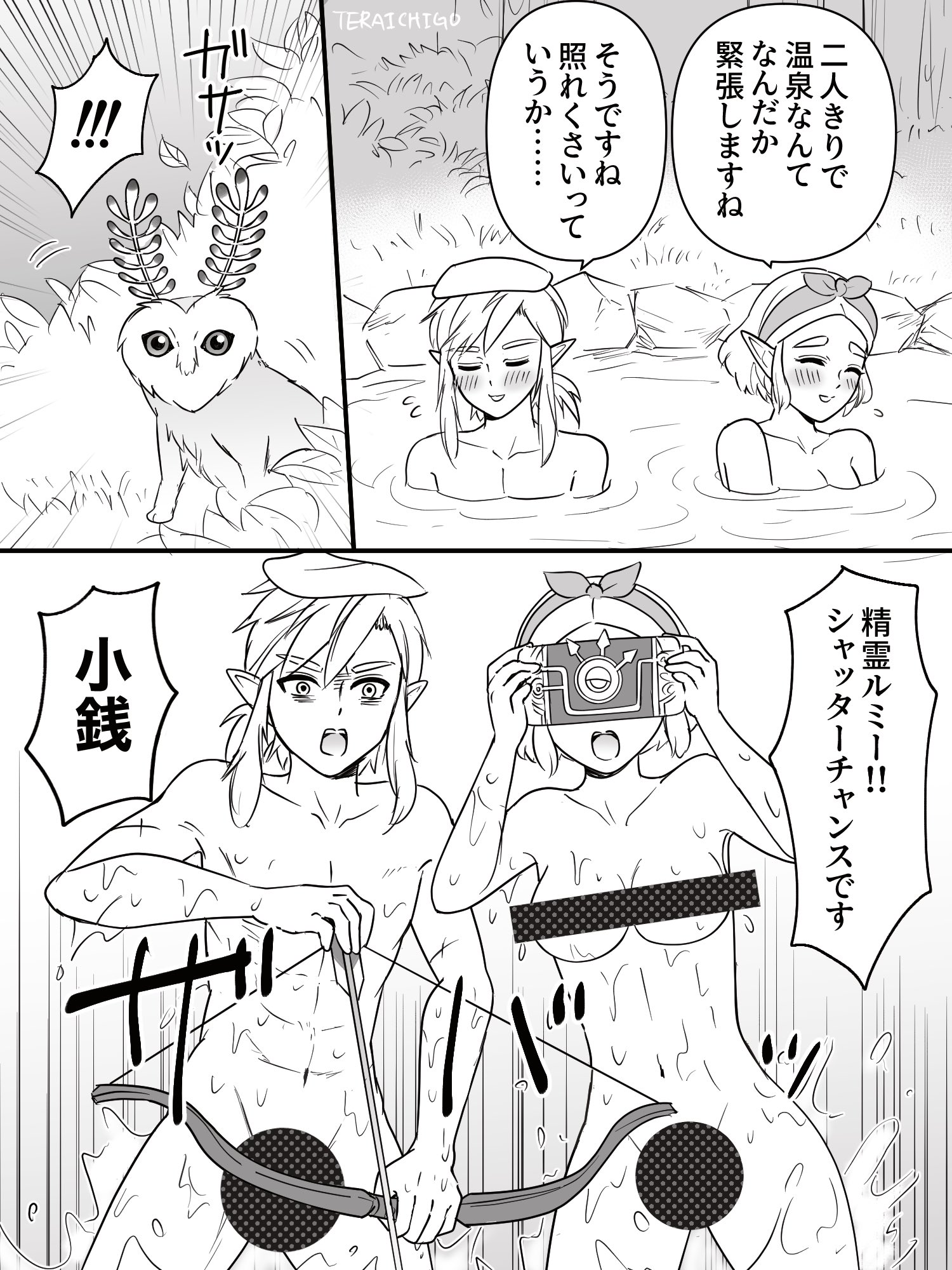 Link (Breath Of The Wild) Rule 34 Image