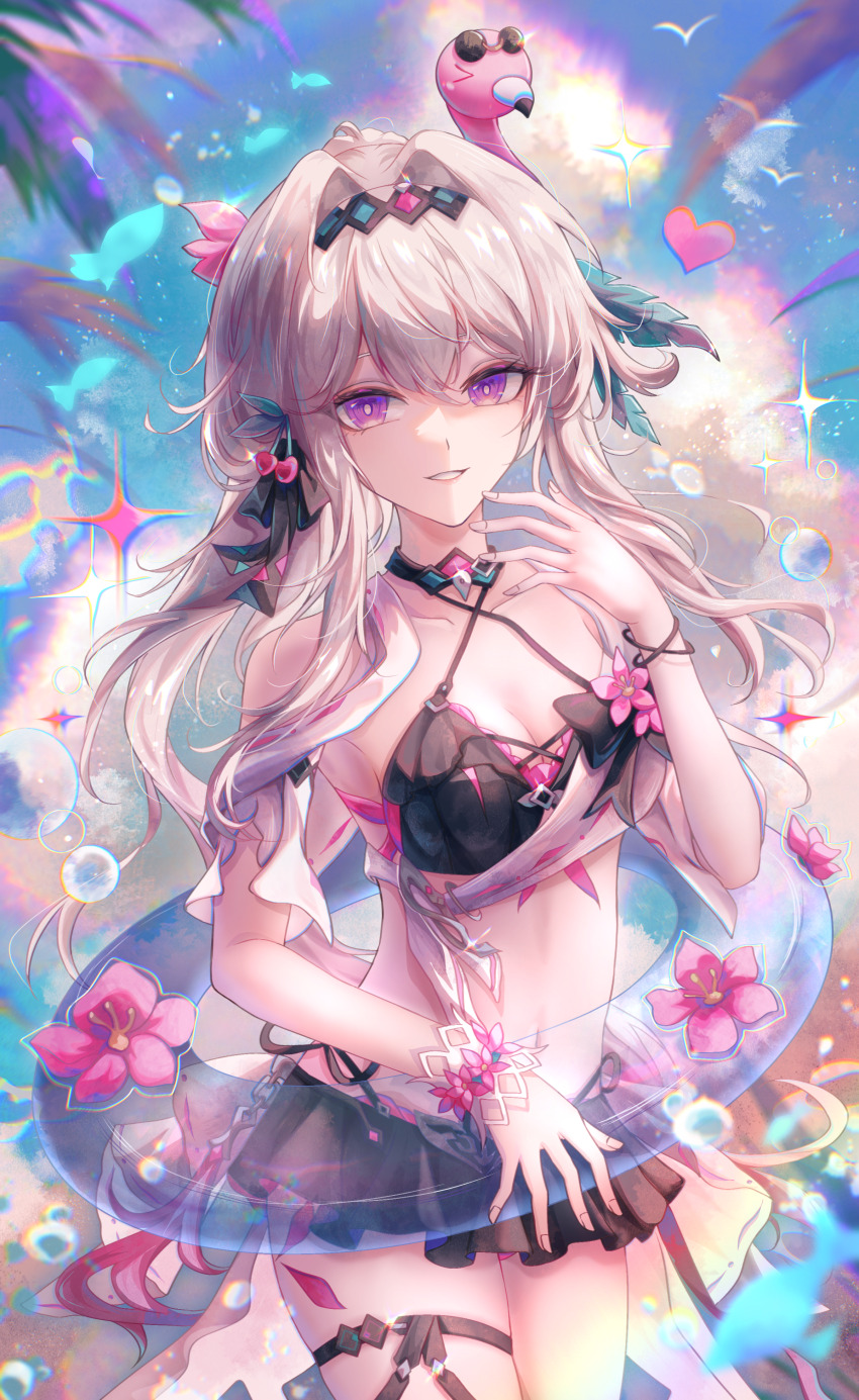 Thelema Nutriscu (Honkai (Series)) Rule 34 Image