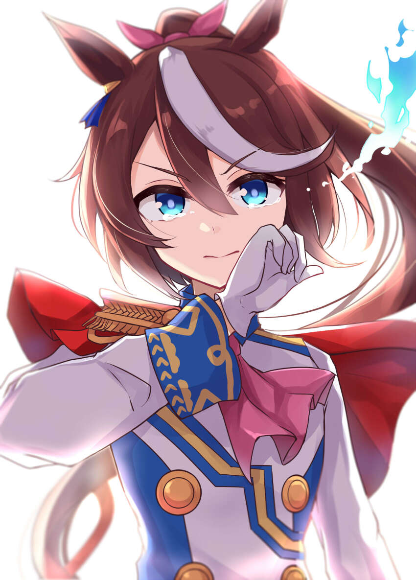Tokai Teio (Umamusume) Rule 34 Image