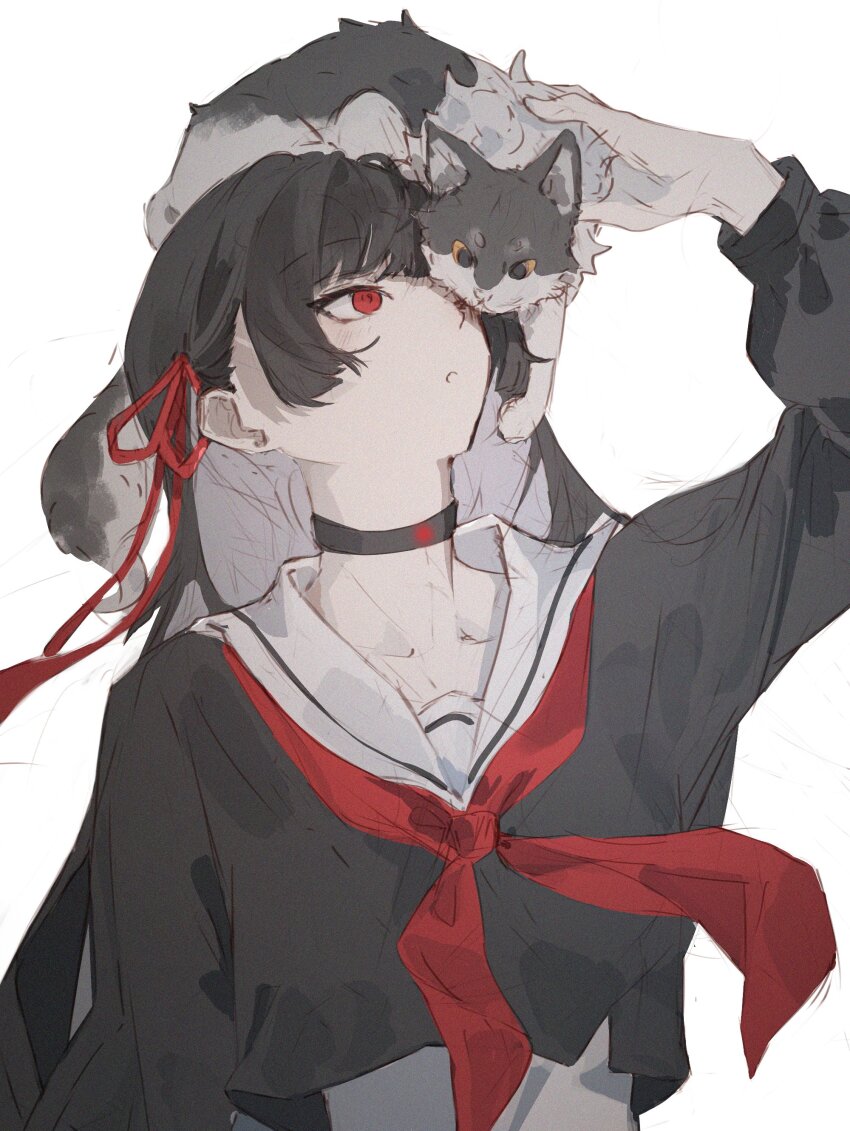 Chisa (Wuthering Waves) Rule 34 Image