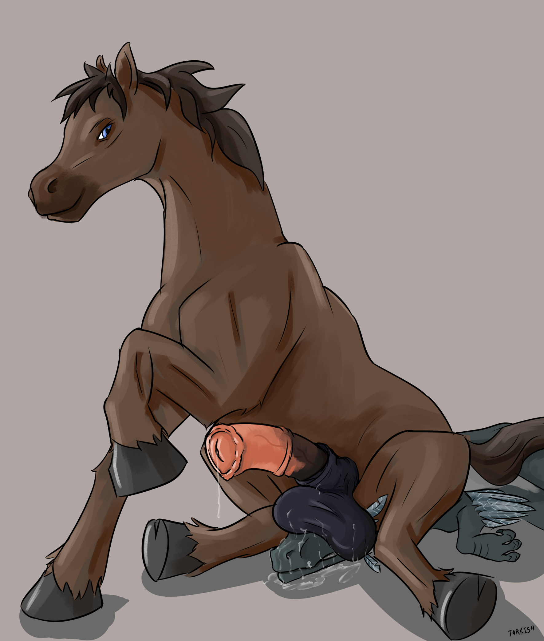 Animal Genitalia Rule 34 Image
