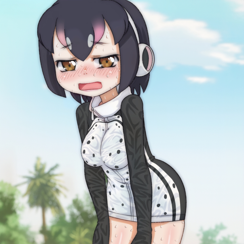 Humboldt Penguin (Kemono Friends) Rule 34 Image